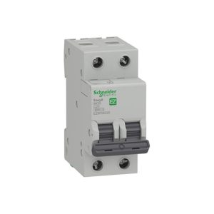 INTERRUPTOR AUTOMÁTICO 6kA C 2P 25A EASY9